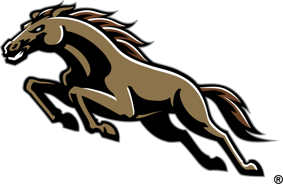 Western Michigan Broncos 1998-2016 Secondary Logo v3 iron on transfers for T-shirts